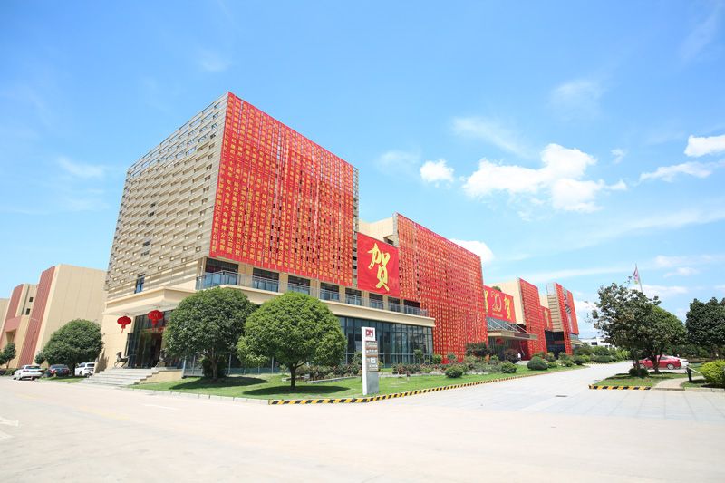 明星企业欧赔光学逆袭之路