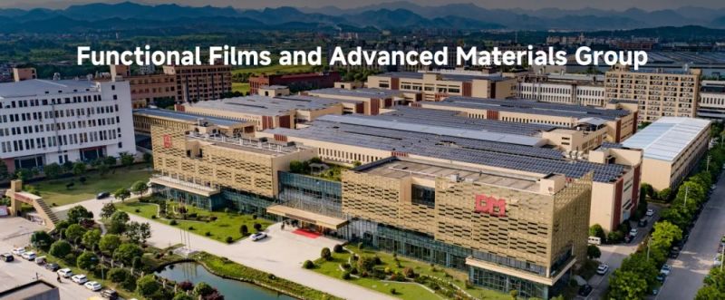 欧赔光学海外版官网正式上线 彰显全球化战略新布局